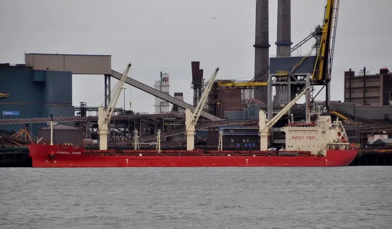 FEDERAL YUKINA Bulk Carrier IMO 9476977 photo 3