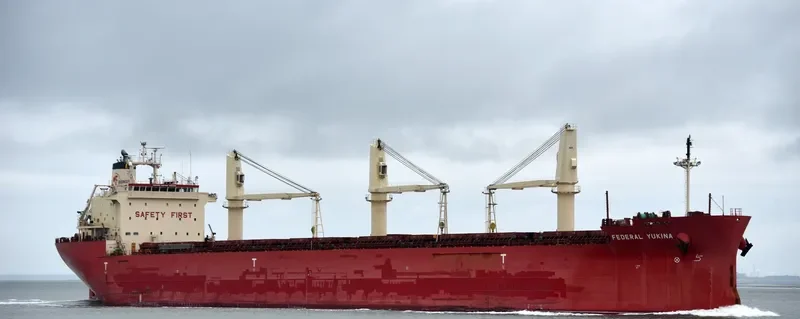 FEDERAL YUKINA Bulk Carrier IMO 9476977 photo 6