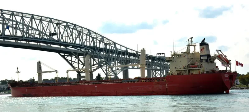 FEDERAL YUKINA Bulk Carrier IMO 9476977 photo 9