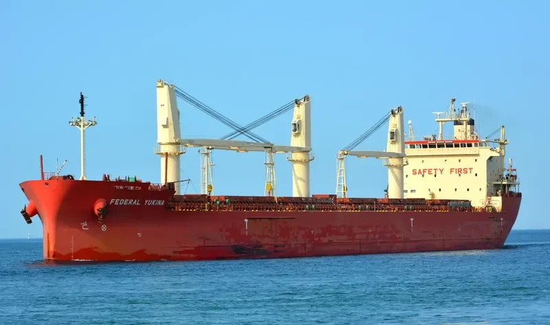 FEDERAL YUKINA Bulk Carrier IMO 9476977 photo 10