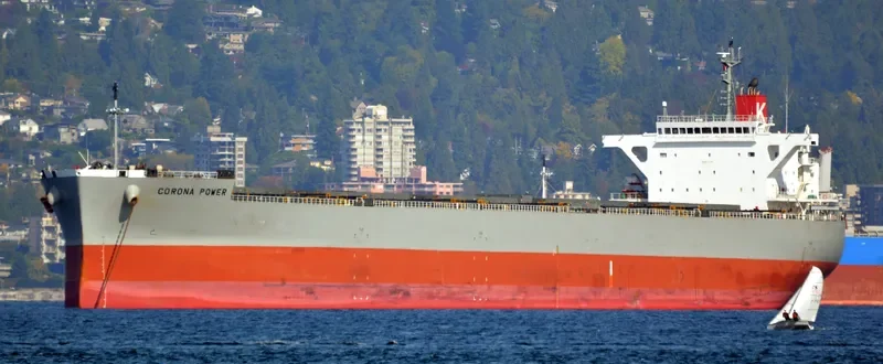 CORONA POWER Bulk Carrier IMO 9477189 photo 7