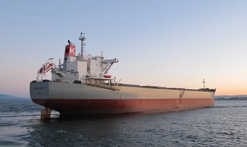 CORONA QUEEN Bulk Carrier IMO 9477191 photo 6