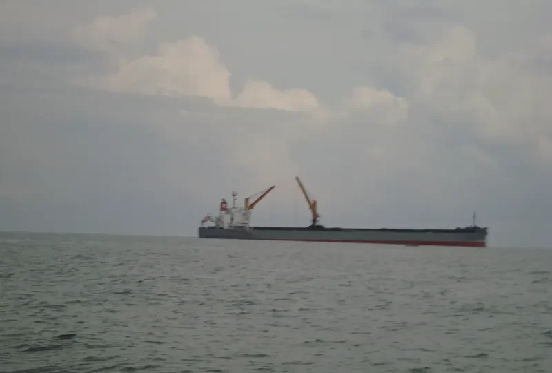 CORONA QUEEN Bulk Carrier IMO 9477191 photo 8