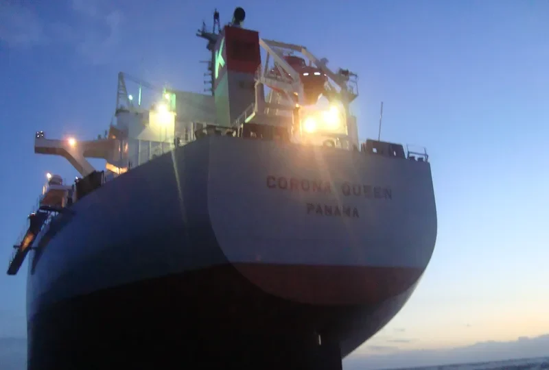 CORONA QUEEN Bulk Carrier IMO 9477191 photo 9