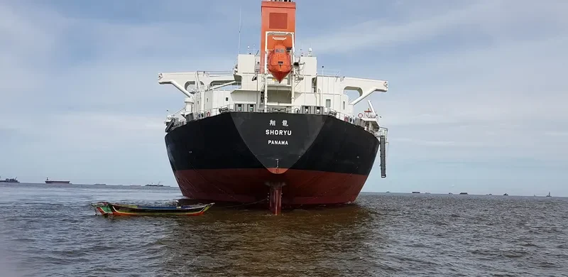 SHORYU Bulk Carrier IMO 9477206