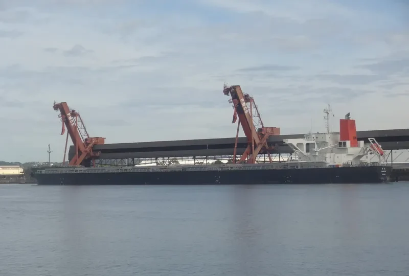 SHORYU Bulk Carrier IMO 9477206 photo 4