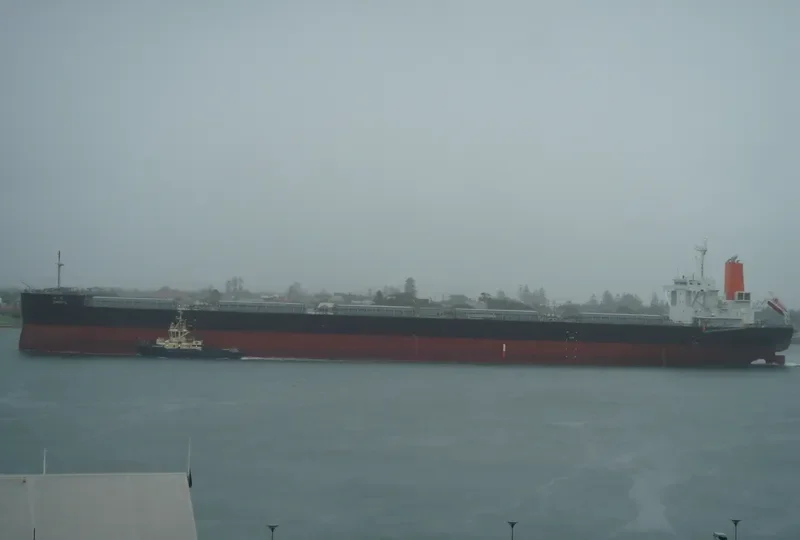 SHORYU Bulk Carrier IMO 9477206 photo 6