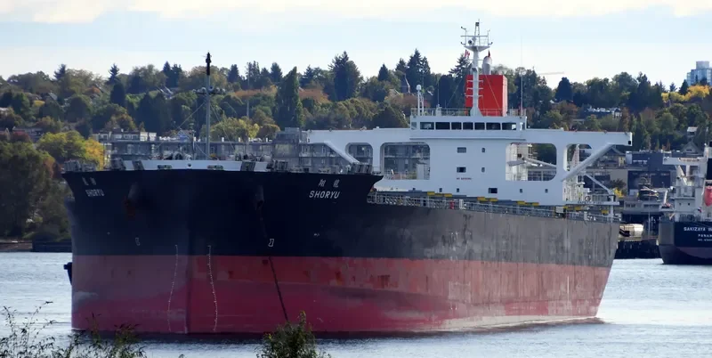 SHORYU Bulk Carrier IMO 9477206 photo 8