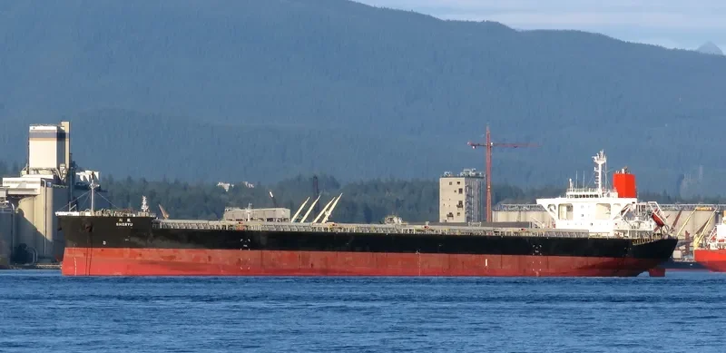 SHORYU Bulk Carrier IMO 9477206 photo 9