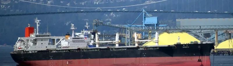 SHORYU Bulk Carrier IMO 9477206 photo 10