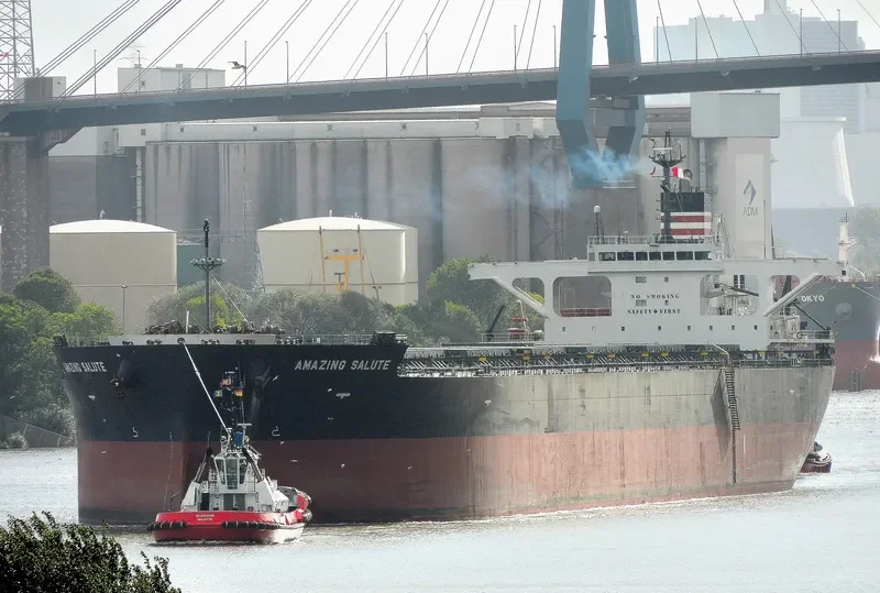 AMAZING SALUTE Bulk Carrier IMO 9477232