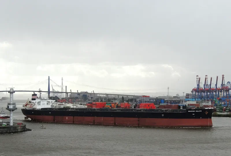 AMAZING SALUTE Bulk Carrier IMO 9477232 photo 2