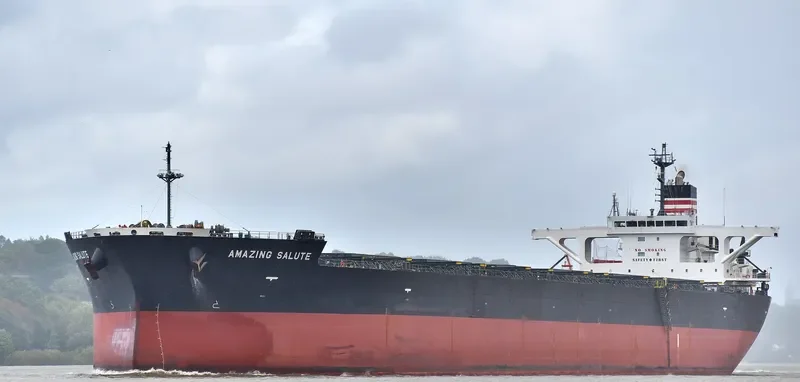 AMAZING SALUTE Bulk Carrier IMO 9477232 photo 4