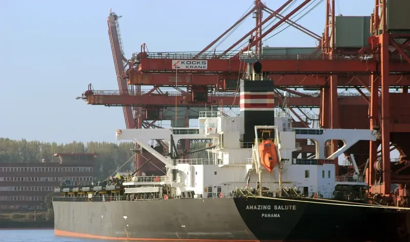 AMAZING SALUTE Bulk Carrier IMO 9477232 photo 5