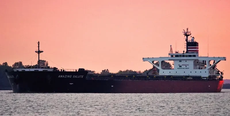 AMAZING SALUTE Bulk Carrier IMO 9477232 photo 7