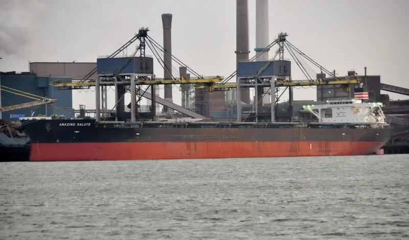 AMAZING SALUTE Bulk Carrier IMO 9477232 photo 8