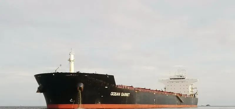 CELINE OLDENDORFF Bulk Carrier IMO 9477244 photo 2