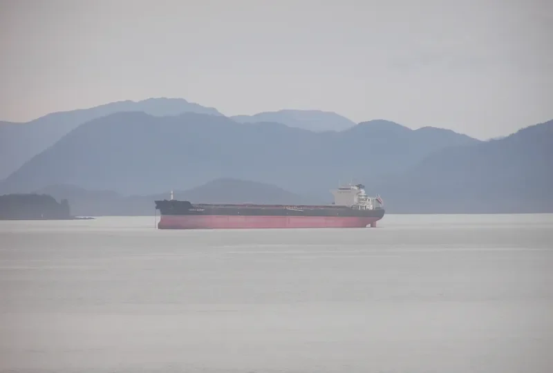 CELINE OLDENDORFF Bulk Carrier IMO 9477244 photo 7