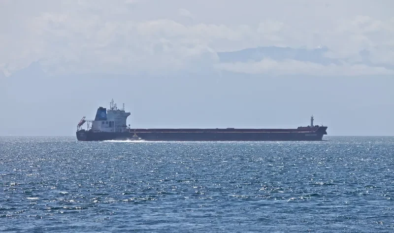 CELINE OLDENDORFF Bulk Carrier IMO 9477244 photo 9