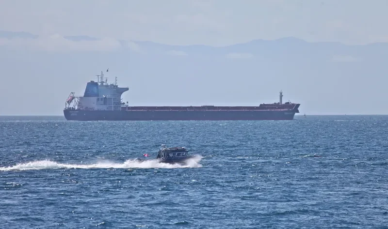 CELINE OLDENDORFF Bulk Carrier IMO 9477244 photo 10