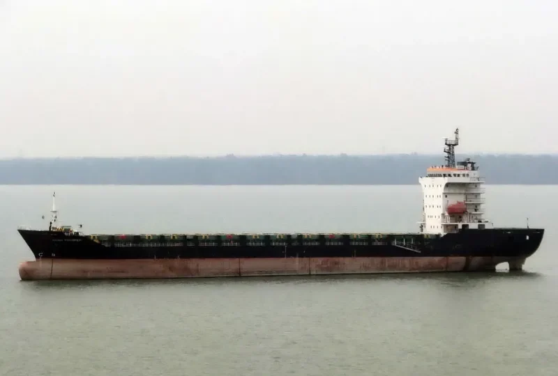 DANUM 160 Container Ship IMO 9477268