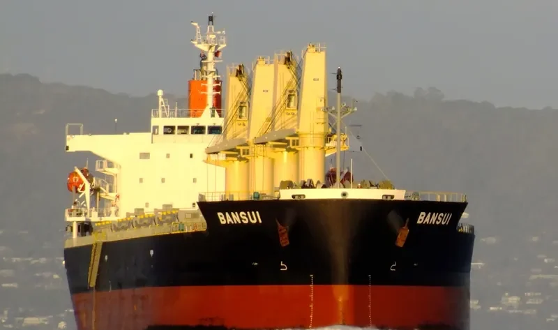 BANSUI Bulk Carrier IMO 9477270 photo 4