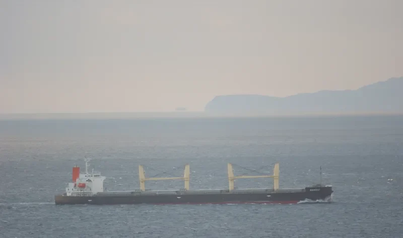 BANSUI Bulk Carrier IMO 9477270 photo 8