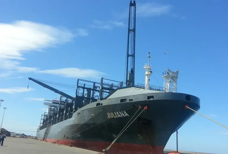 JULIANA Container Ship IMO 9477294 photo 5