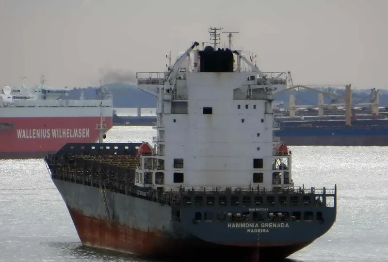 GRENADA Container Ship IMO 9477311