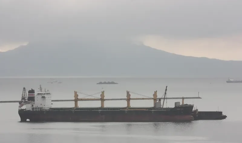VEGA LEA Bulk Carrier IMO 9477684 photo 3
