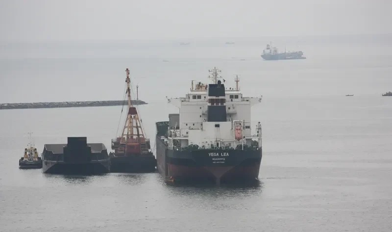 VEGA LEA Bulk Carrier IMO 9477684 photo 4