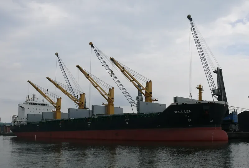 VEGA LEA Bulk Carrier IMO 9477684 photo 5