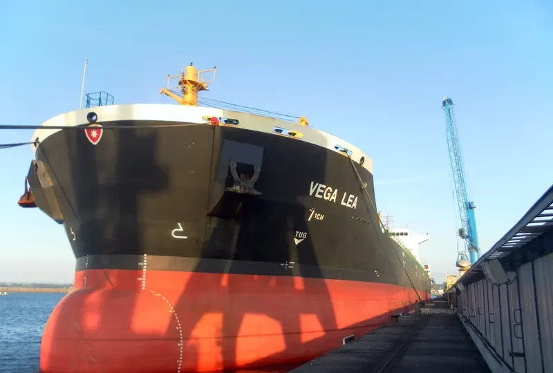 VEGA LEA Bulk Carrier IMO 9477684 photo 6