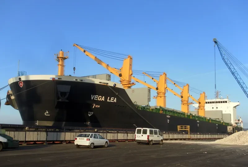 VEGA LEA Bulk Carrier IMO 9477684 photo 7