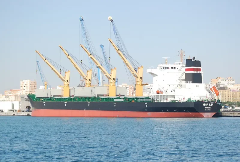 VEGA LEA Bulk Carrier IMO 9477684 photo 8