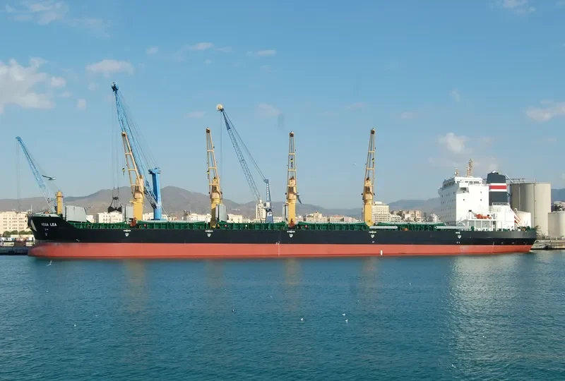VEGA LEA Bulk Carrier IMO 9477684 photo 10
