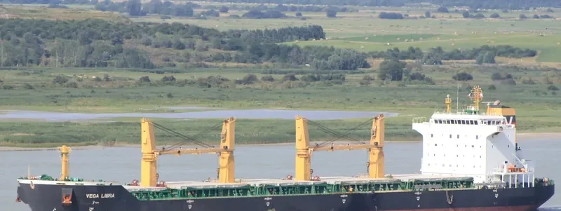 HG HONGKONG Bulk Carrier IMO 9477696 photo 2