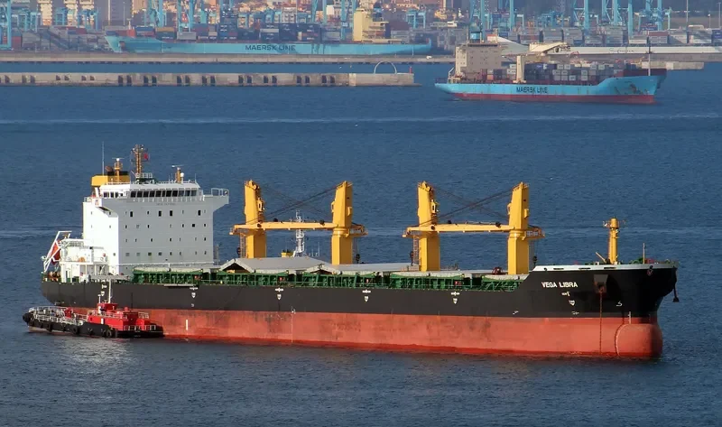 HG HONGKONG Bulk Carrier IMO 9477696 photo 3