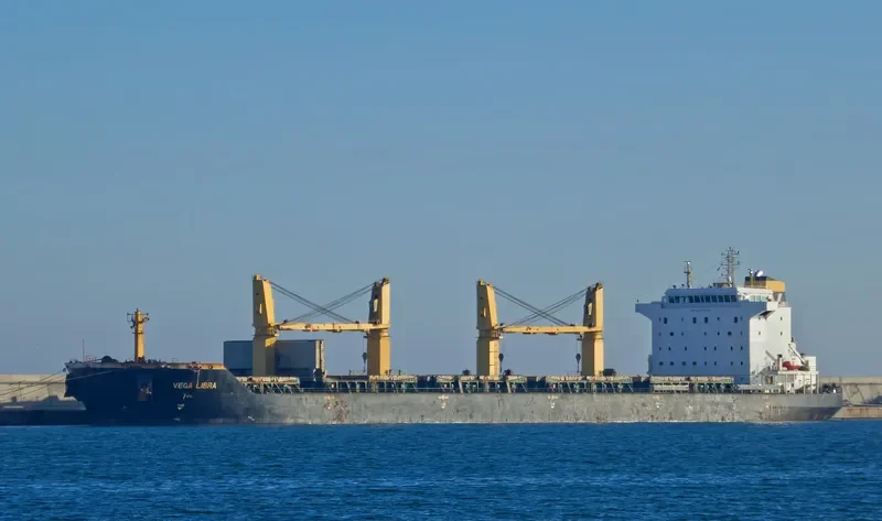HG HONGKONG Bulk Carrier IMO 9477696 photo 5