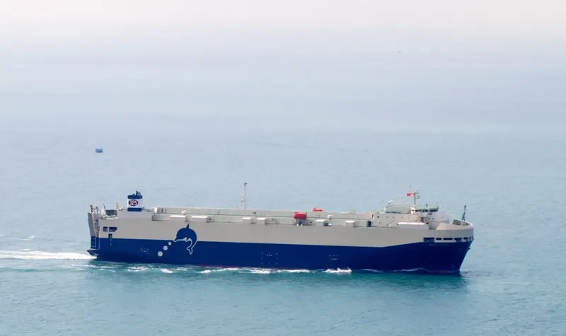 TRANS FUTURE 8 General Cargo IMO 9477701 photo 7
