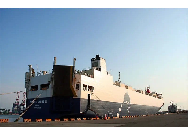 TRANS FUTURE 11 General Cargo IMO 9477737 photo 3