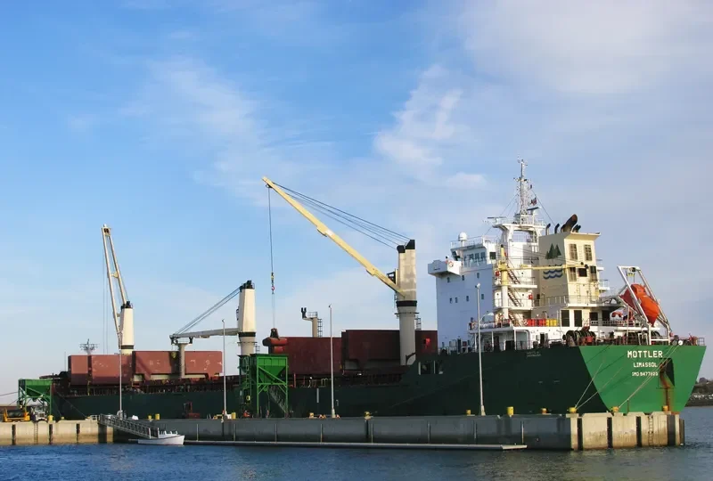 MOTTLER Bulk Carrier IMO 9477828