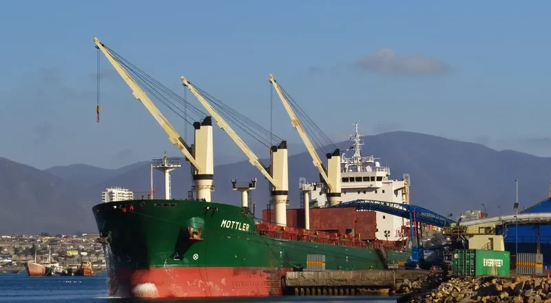 MOTTLER Bulk Carrier IMO 9477828 photo 4
