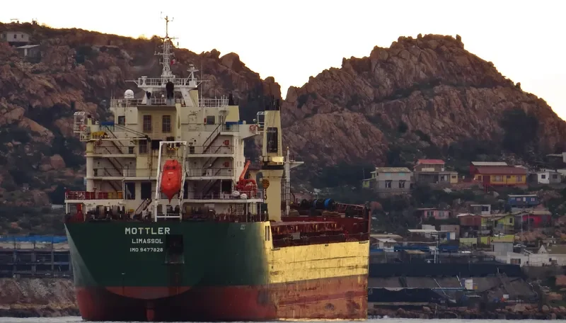MOTTLER Bulk Carrier IMO 9477828 photo 5