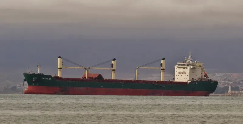 MOTTLER Bulk Carrier IMO 9477828 photo 6