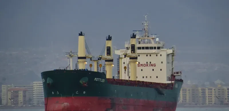 MOTTLER Bulk Carrier IMO 9477828 photo 7