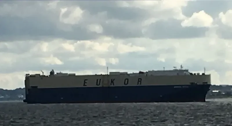 MORNING CECILIE General Cargo IMO 9477830