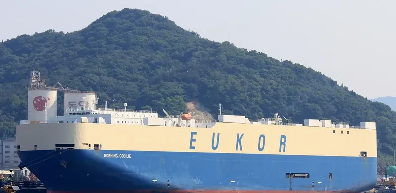 MORNING CECILIE General Cargo IMO 9477830 photo 10