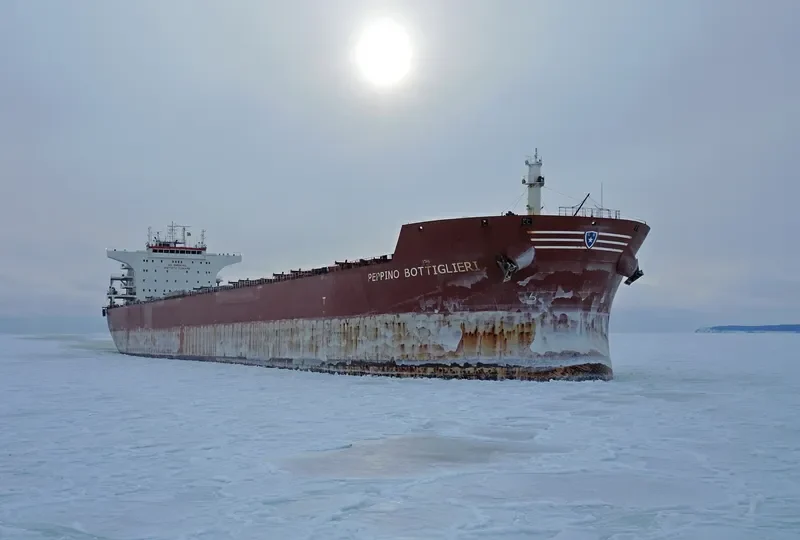 STAR CORAL Bulk Carrier IMO 9477854