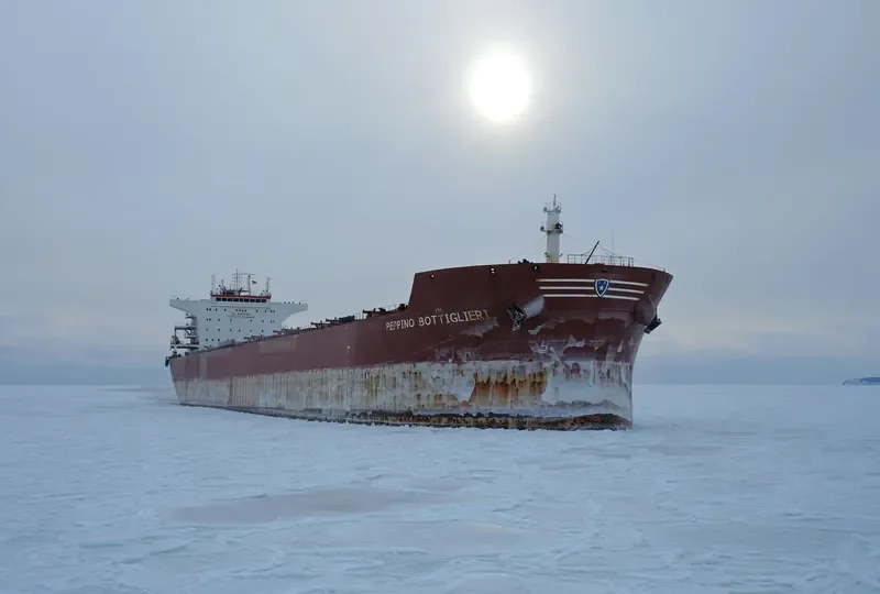 STAR CORAL Bulk Carrier IMO 9477854 photo 2
